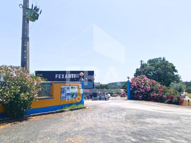 Armazém venda em Santarém