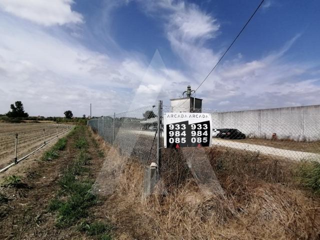 Armazém venda em Anadia, Aveiro