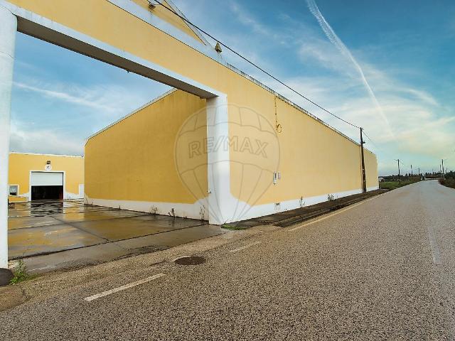 Armazém alugar em Torres Novas, Santarém