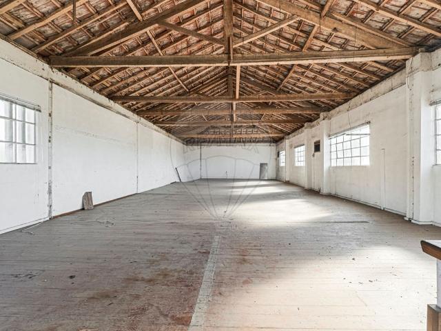 Armazém alugar em Santa Maria Da Feira