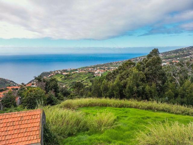Ponto Comercial venda em Calheta