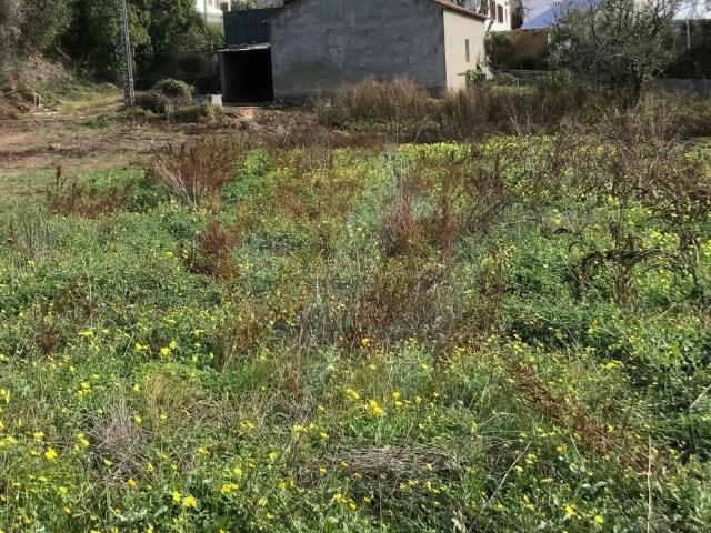 Armazém venda em Odemira