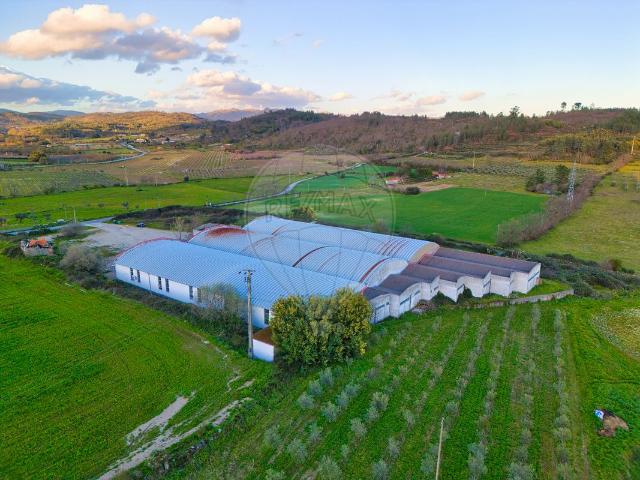 Armazém venda em Belmonte