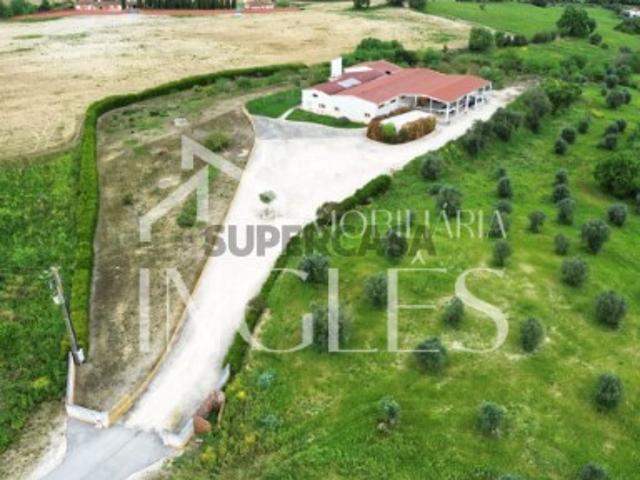 Armazém venda em Santarém