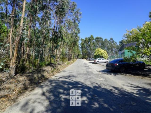 Armazém venda em Oliveira De Azeméis, Aveiro