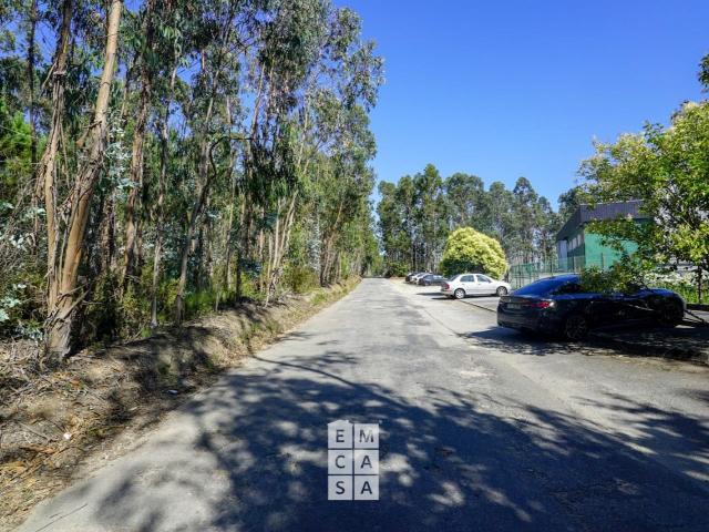 Loja venda em Oliveira De Azeméis, Aveiro
