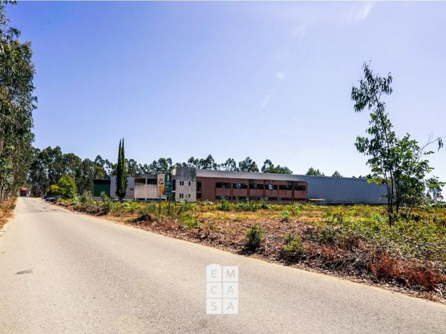 Loja venda em Oliveira De Azeméis, Aveiro