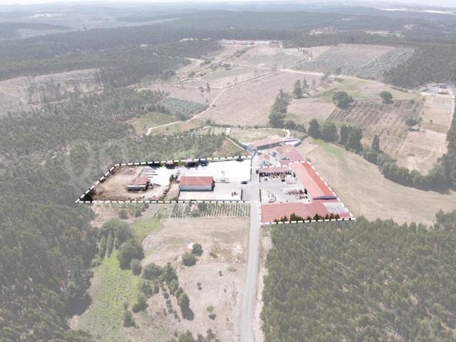 Armazém venda em Torres Vedras, Lisboa