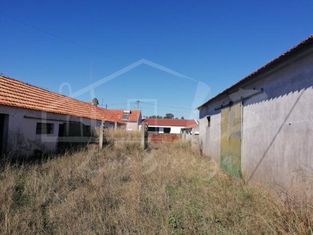 Armazém venda em Grândola, Setúbal