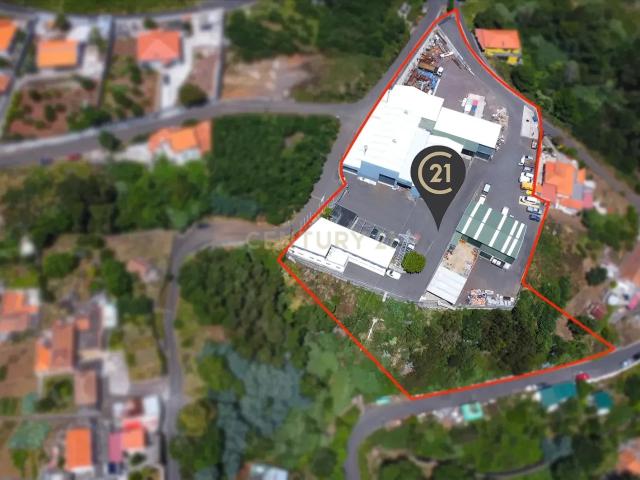 Loja venda em Santa Cruz, Ilha Da Madeira