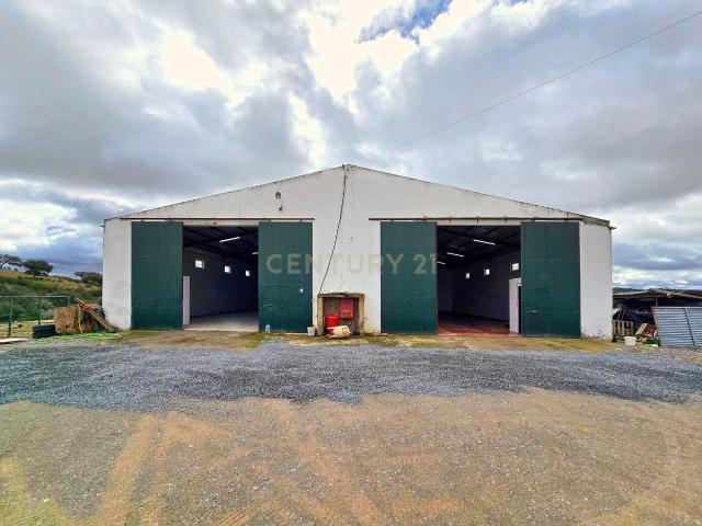 Loja alugar em Almodôvar, Beja