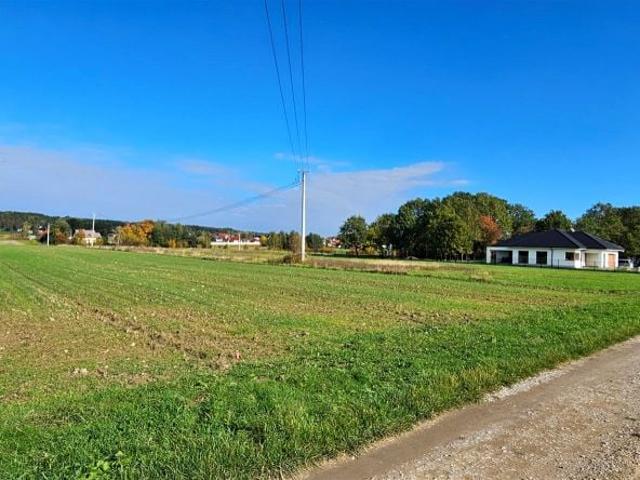 Grunt na sprzedaż w Dąbrowa Tarnowska, Małopolskie