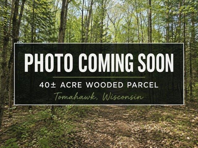 Land for sale in Tomahawk, Wisconsin