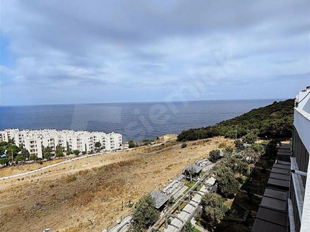 Armutlu, Yalova içerisinde satılık mülk