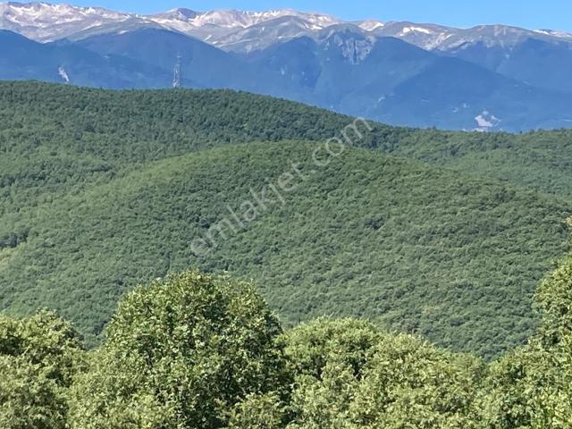 Armutlu, Yalova içerisinde satılık mülk