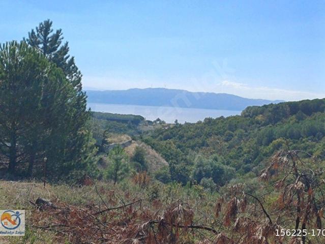 Armutlu içerisinde satılık mülk