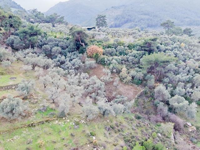 Kemalpaşa, İzmir içerisinde satılık Arsa