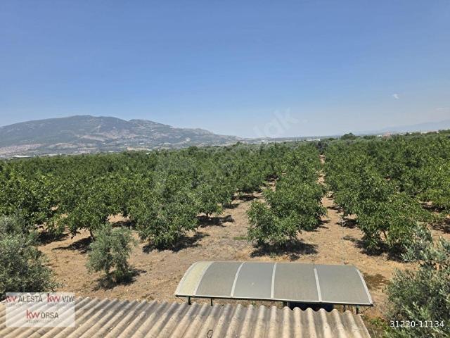 Kemalpaşa, İzmir içerisinde satılık mülk