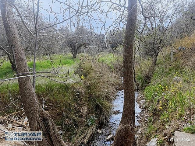 Kemalpaşa, İzmir içerisinde satılık mülk