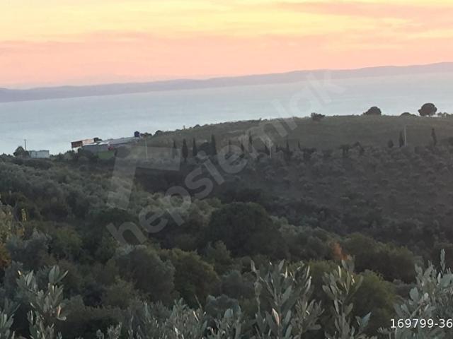 Armutlu, Yalova içerisinde satılık Arsa