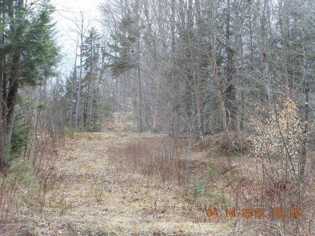 Land for sale in Wolcott, Vermont