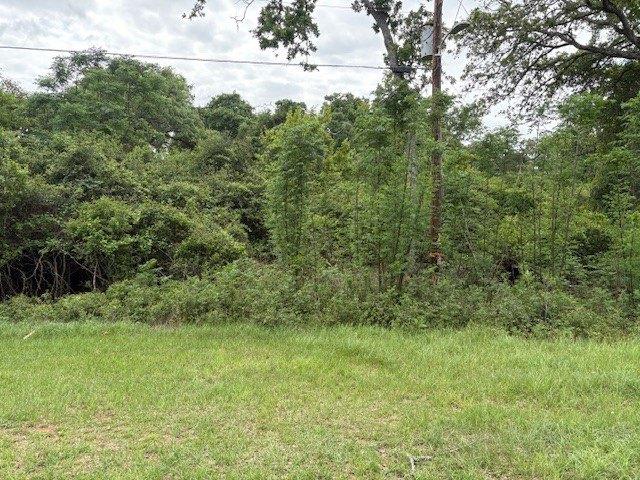 Land for sale in Normangee, Leon County