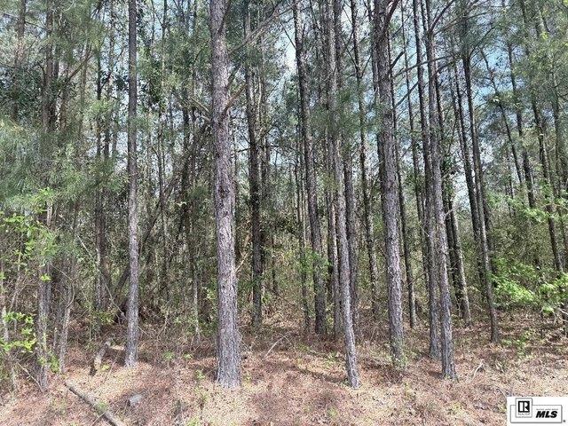 Land for sale in Choudrant, Louisiana