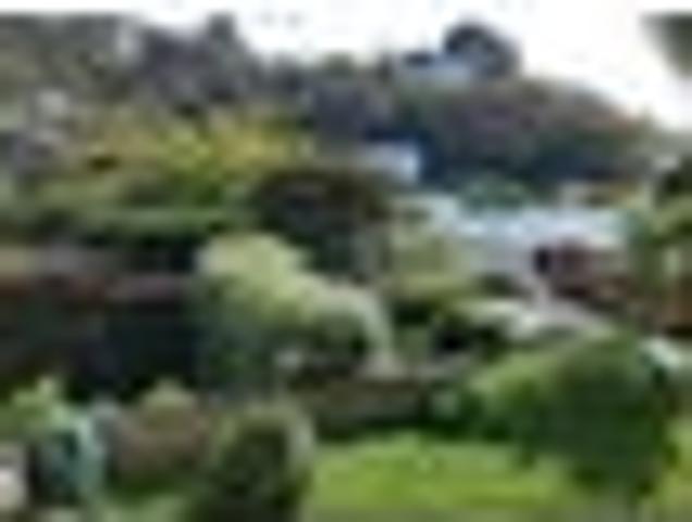 Apartment for rent in Matata, Wellington