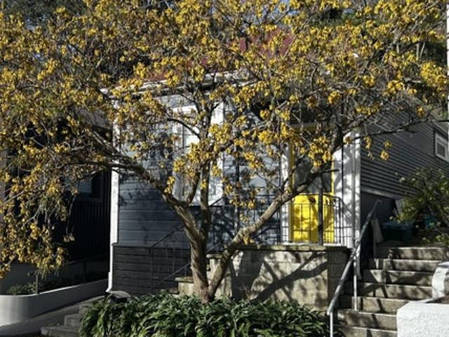 House for rent in Mitchelltown, Wellington