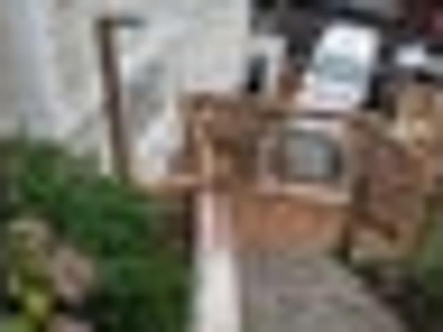 House for rent in Mitchelltown, Wellington