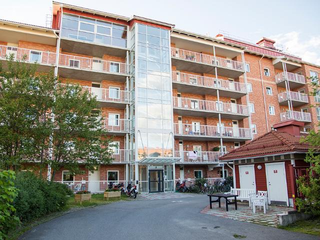 Hus hyra i Piteå, Norrbotten