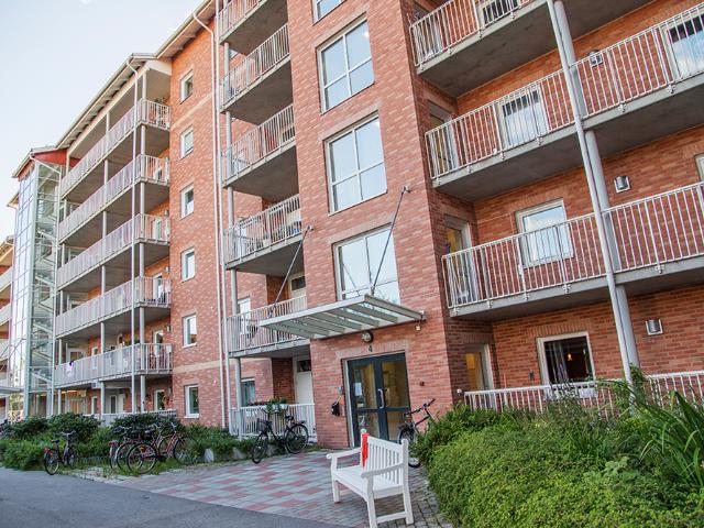 Hus hyra i Piteå, Norrbotten