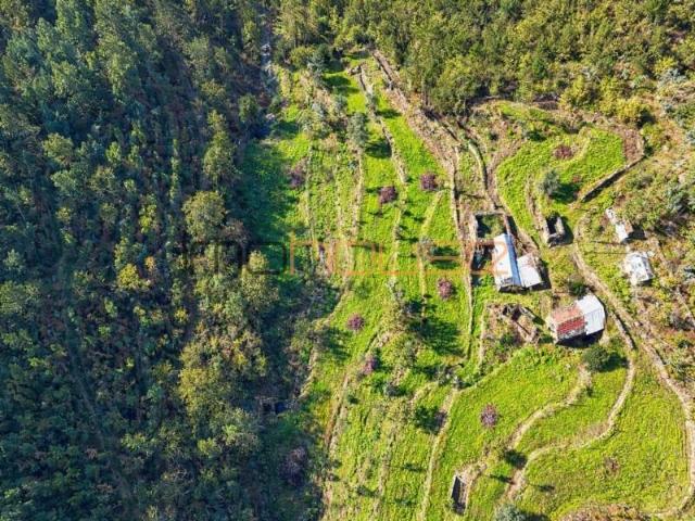 Terreno venda em Arouca, Burgo