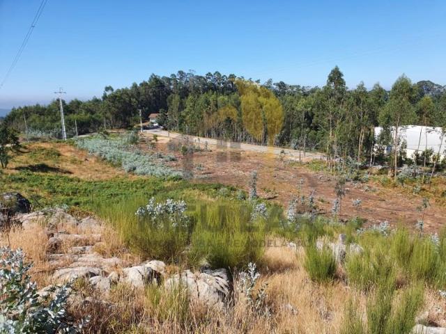 Terreno venda em Arouca, Burgo