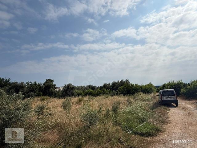 Erdemli, Mersin içerisinde satılık Dükkan
