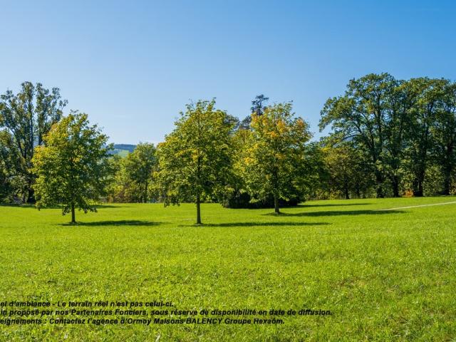 Terrain vente à Palaiseau, Arpajon