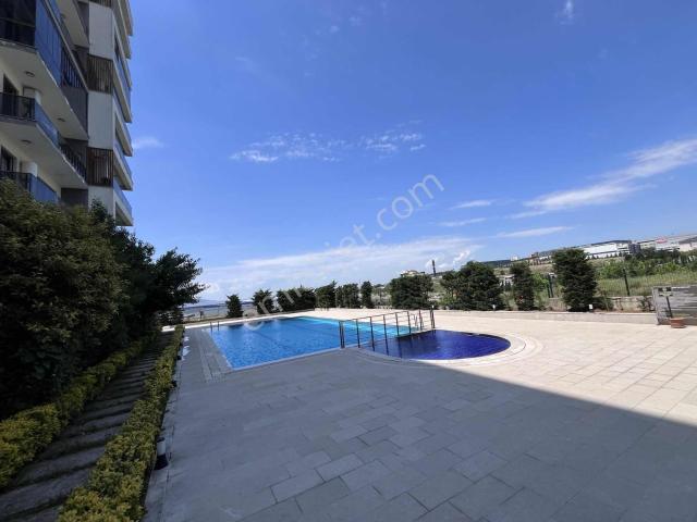 Çayirova, Kocaeli içerisinde kiralık mülk
