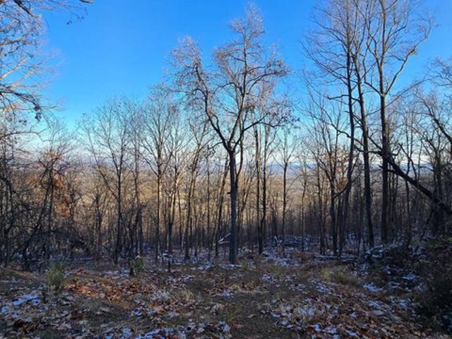 Land for sale in Hedgesville, Berkeley County
