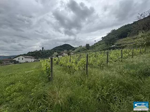Terrain vente à Tournon-sur-Rhône, Arras-sur-rhône