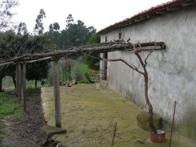 Terreno venda em Castelo Branco, Cumeada