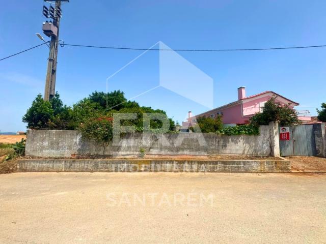 Armazém venda em Santarém