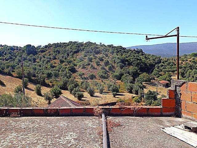Duplex venda em Torres Novas, Santarém