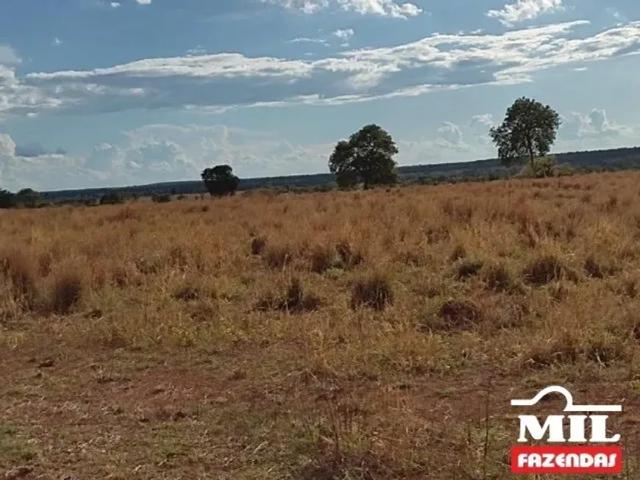 Fazenda venda em Região Geográfica Imediata de Goiás - Itapuranga, Nova Crixás