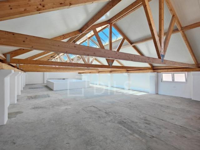 Loja alugar em Lisboa