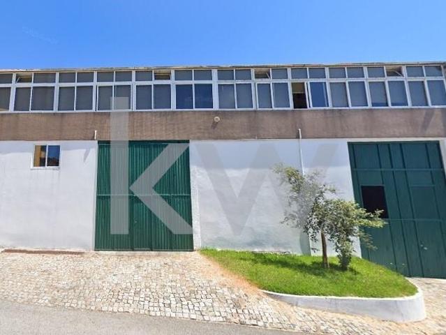 Armazém alugar em Lourosa