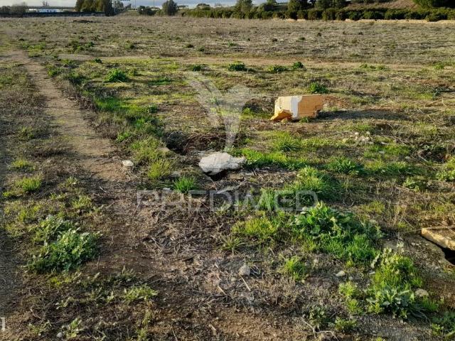 Terreno alugar em Faro
