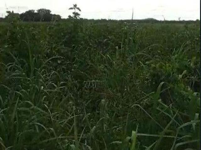 Sítio e chácara venda em Centro, Corumbá