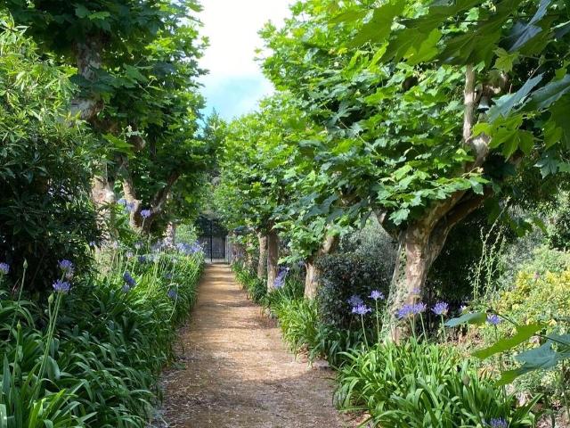 Casa alugar em Sintra, Lisboa