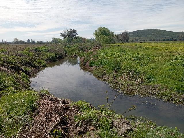 Terreno en arriendo en Villa Alegre, Maule