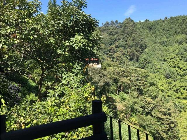 Apartaestudio en arriendo en Antioquia, Valle de Aburrá